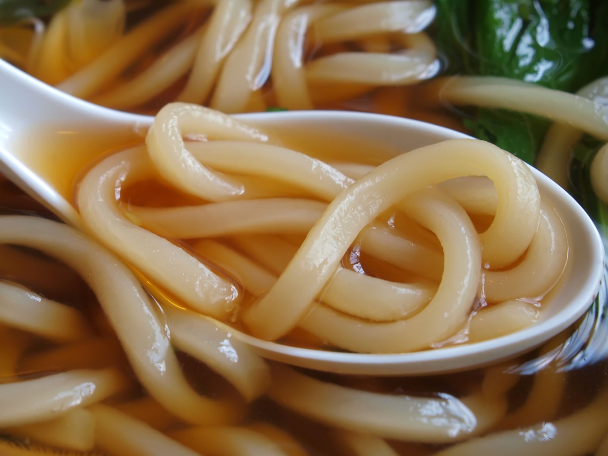 Udon Nudeln